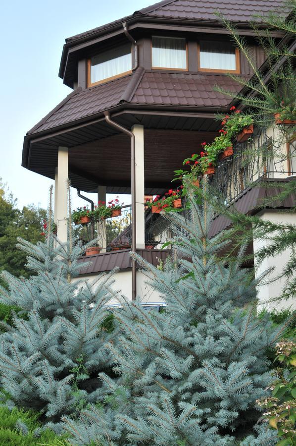Troyanda Karpat Hotel Beregvár Kültér fotó